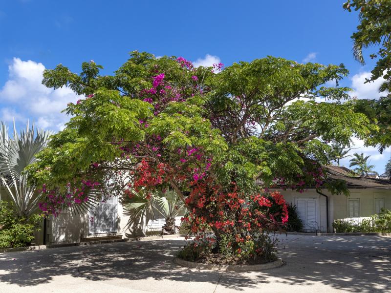 Sandy Lane Estate - Half Moon , Sandy Lane Estate , St James , West Coast Barbados 