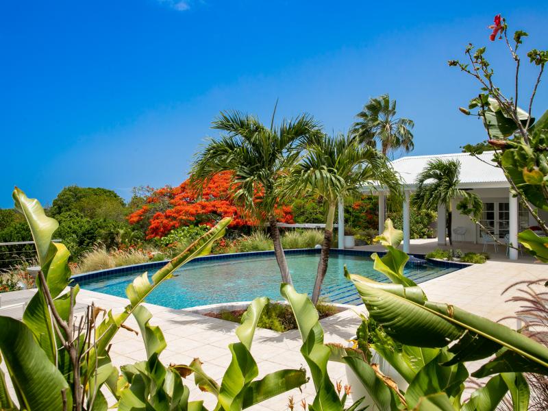 Encore , Terres Basses 