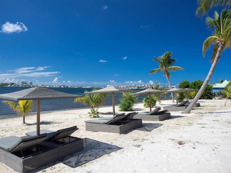 La Salamandre , Terres Basses 