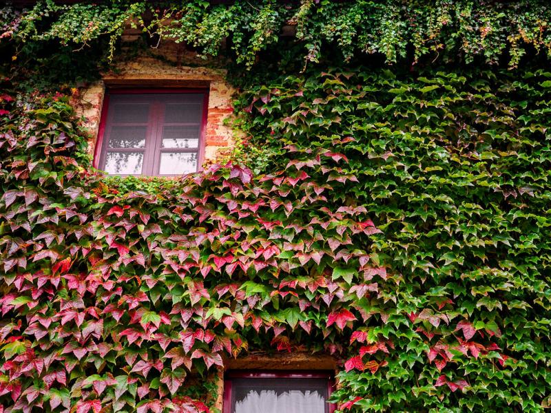 Villa Il Santo , Tuscany 