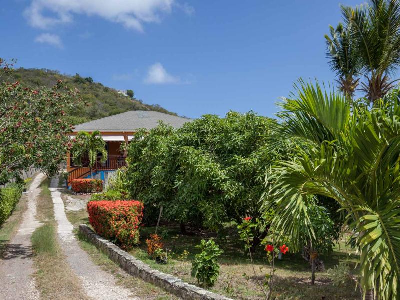 Tropical Paradise , English Harbour 