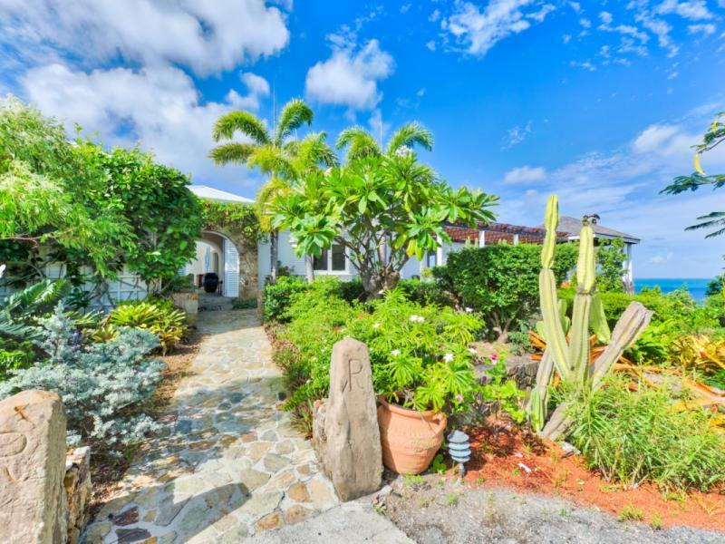 Libellule , Terres Basses 