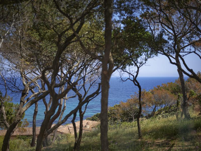 Hêlios & Circé , St Tropez 