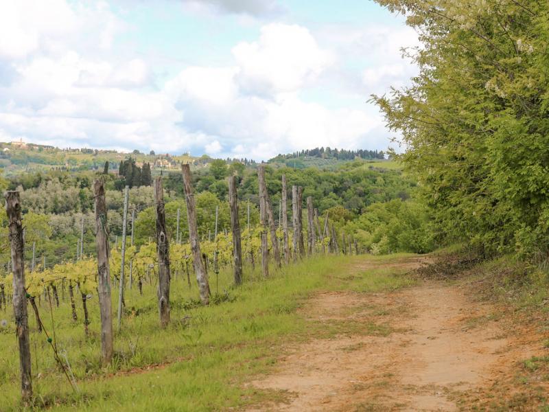 Villa Il Santo , Tuscany 