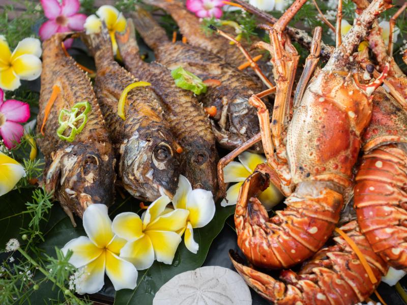 Karma Bay , Montego Bay 