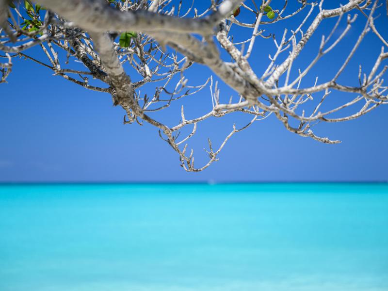 Sea Breeze - Beachfront , Grace Bay 