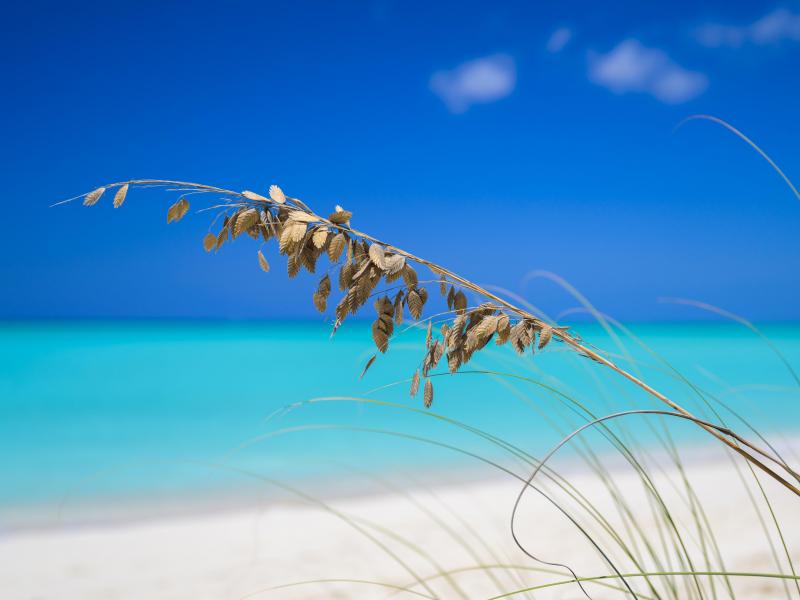 Sea Breeze - Beachfront , Grace Bay 