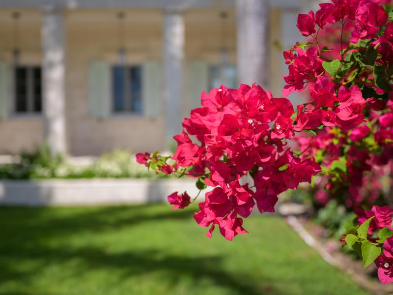 Sea Breeze - Beachfront , Grace Bay 