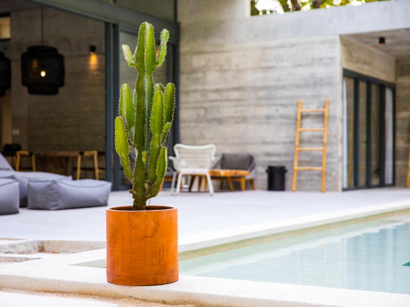 Casa Taman - Costa Rica , Santa Teresa 