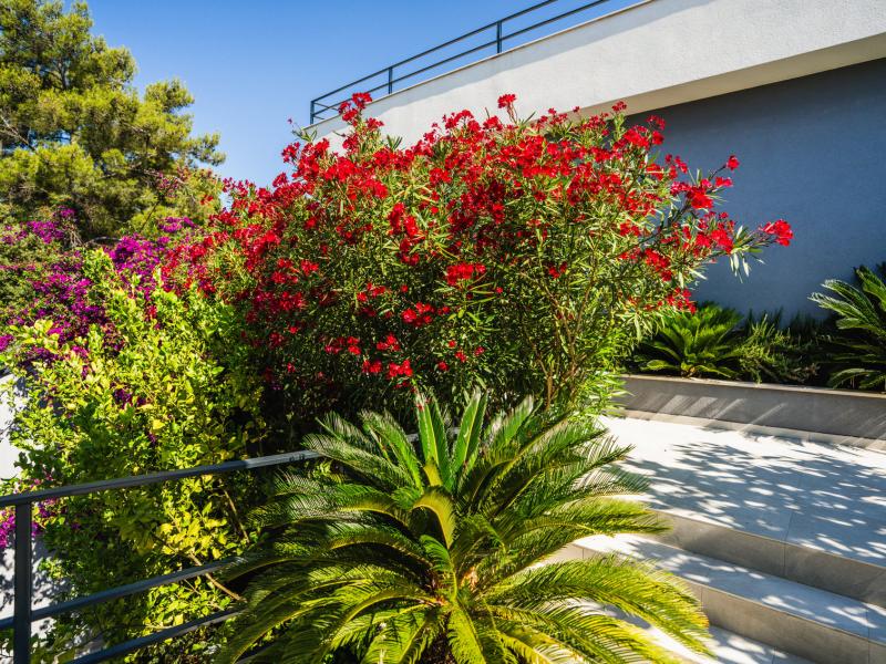Villa Sansarea , Korcula Island 
